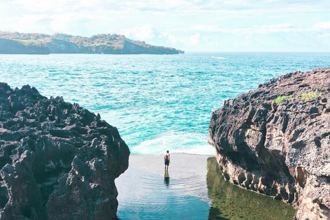 From Bali: Nusa Penida Ocean Swing and Tree House by Boat