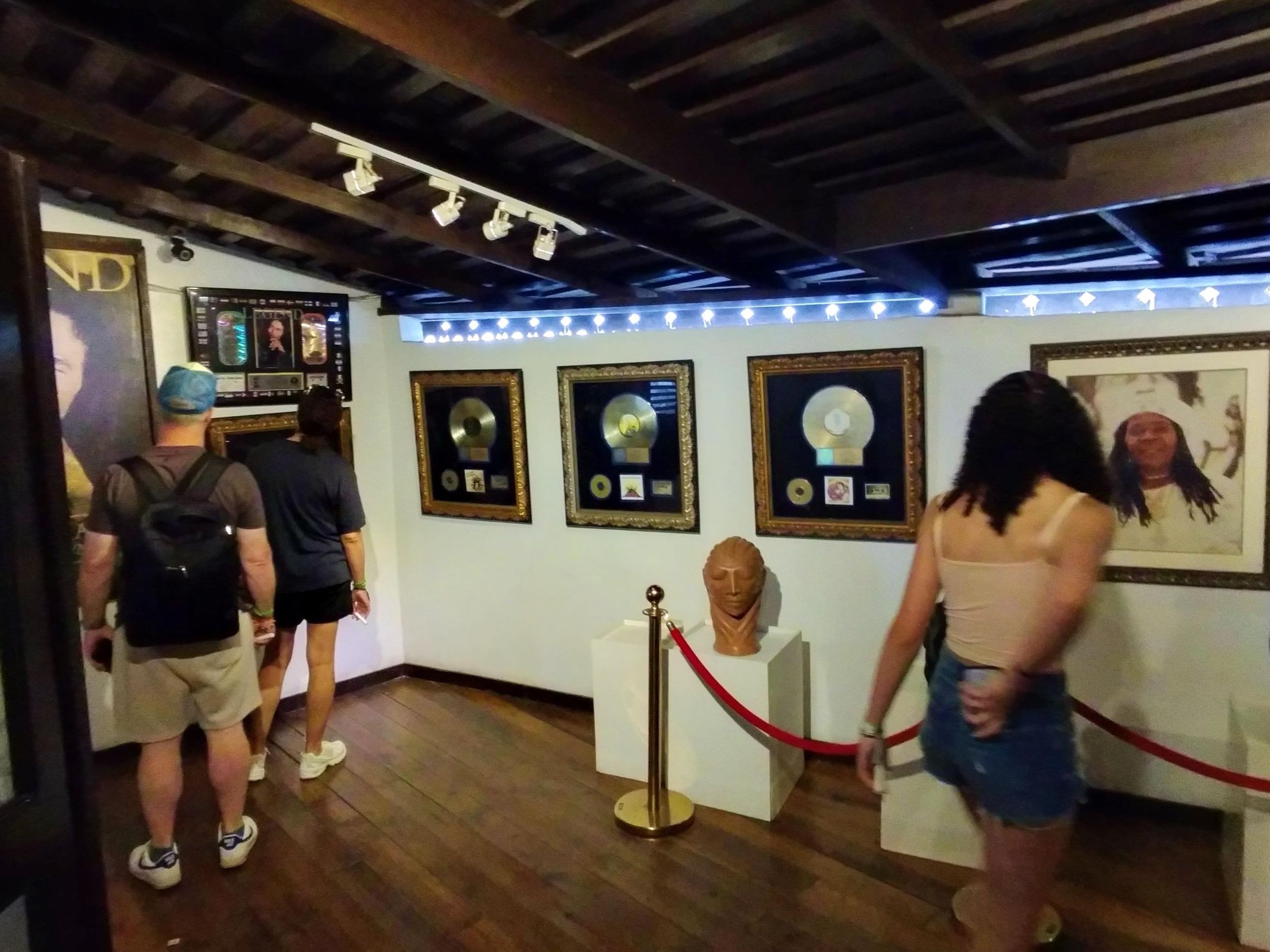 Montego Bay: Private Bob Marley und Dunn's River Falls Tour