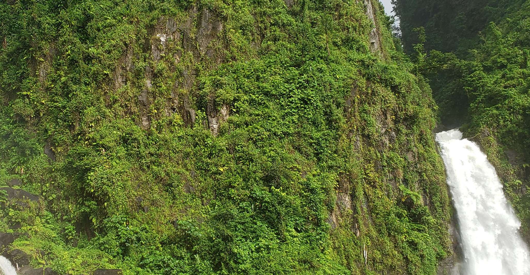 Roseau, geführter Tagesausflug zu den beliebten Wasserfällen - Hizvo
