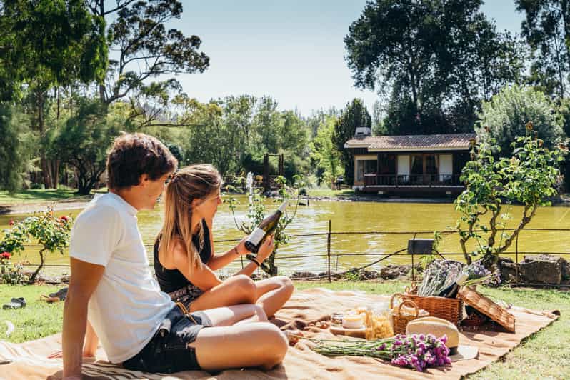 Bucelas Wine Tasting Tour GetYourGuide