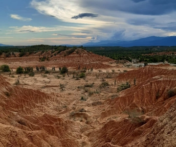 Neiva: Guided Day Trip to the Tatacoa Desert with Lunch