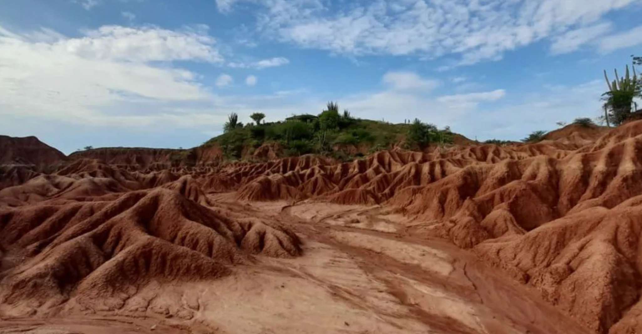 Neiva, Gita guidata al deserto di Tatacoa - Hizvo