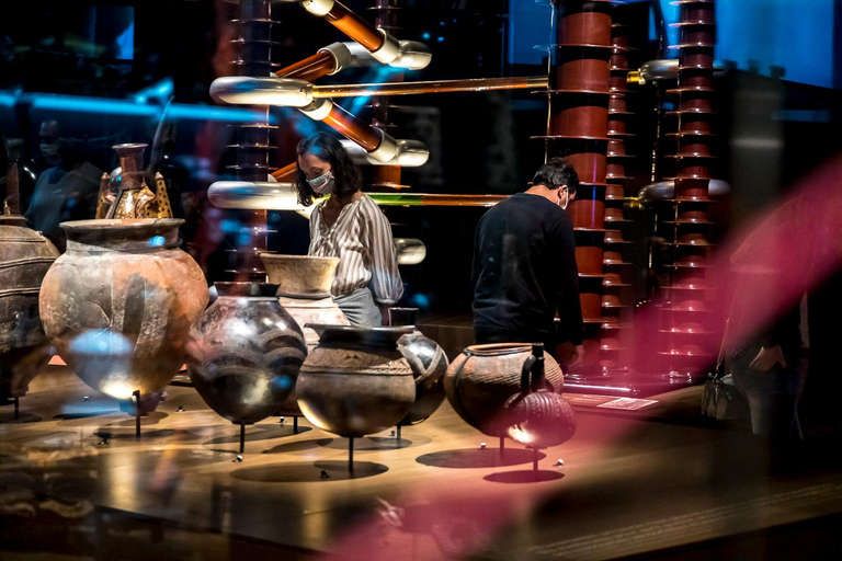 Lyon: Musée des Confluences Entrance Ticket