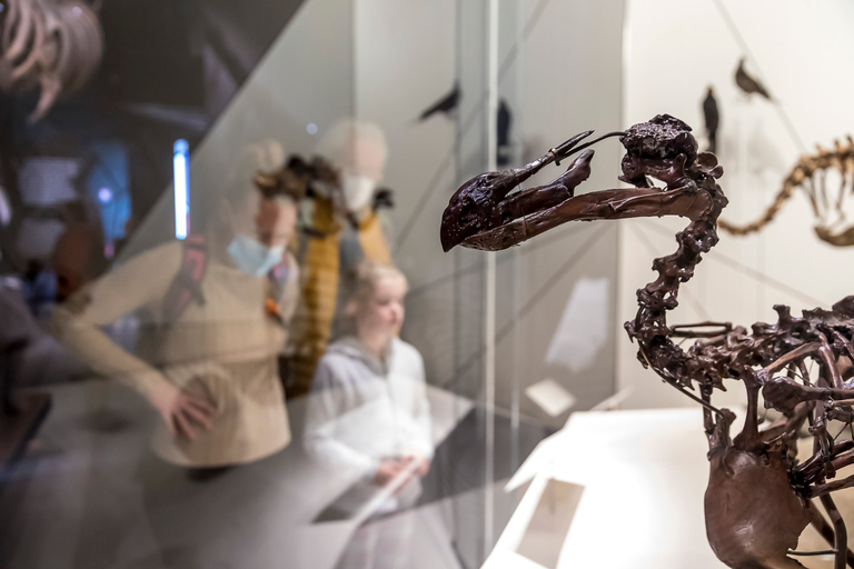 Lyon: Musée des Confluences Entrance Ticket