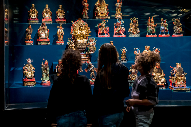 Lyon: Musée des Confluences Entrance Ticket