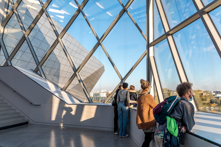 Lyon: Musée des Confluences Entrance Ticket
