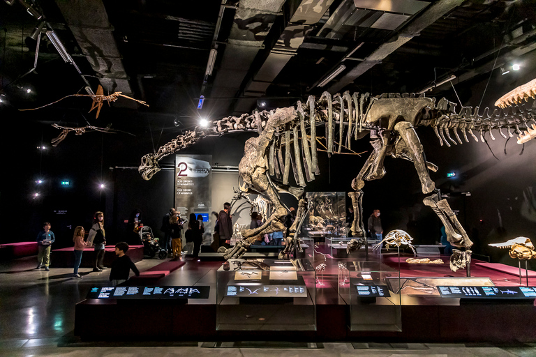 Lyon: Musée des Confluences Entrance Ticket