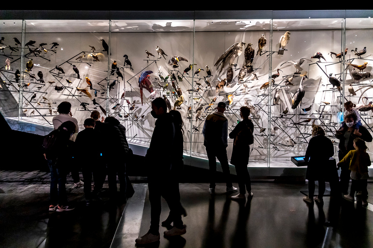 Lyon: Musée des Confluences Entrance Ticket
