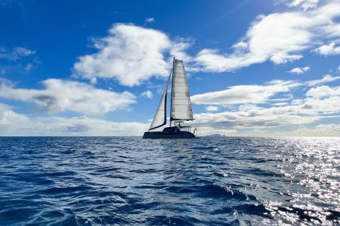 Funchal: Luxury Catamaran Luna Charter 49 - Daily Tours