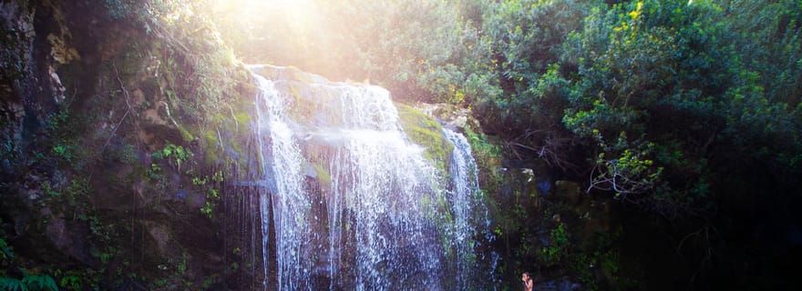 Big Island : visite d'une jounée complète aux cascades de Kohala