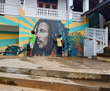 From Montego Bay: The Bob Marley Guided Tour of Nine Mile