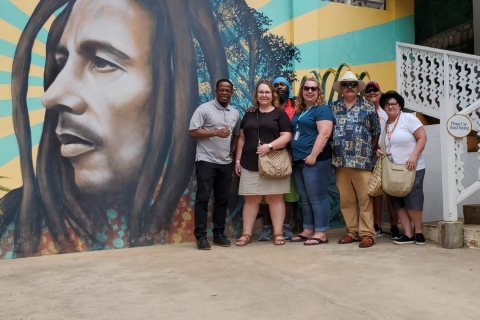 De Montego Bay: visite guidée de l'expérience Bob Marley