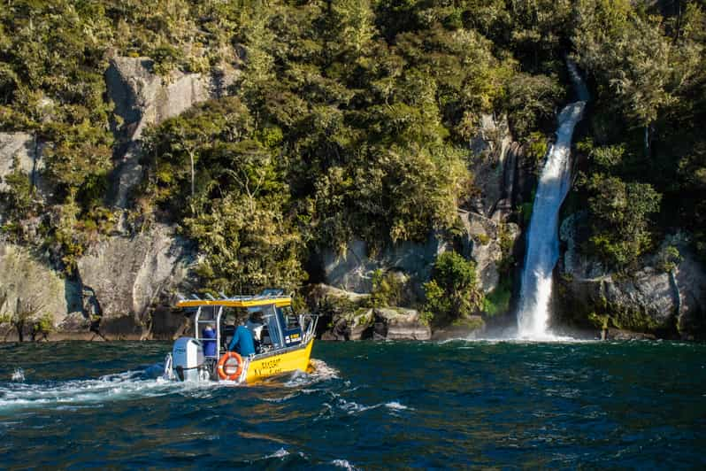 Taupo Lake Taupo Western Bays Catamaran Tour with Bush Walk GetYourGuide