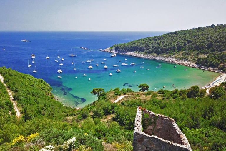 Dubrovnik : Excursion en bateau d'une journée aux îles Elaphites