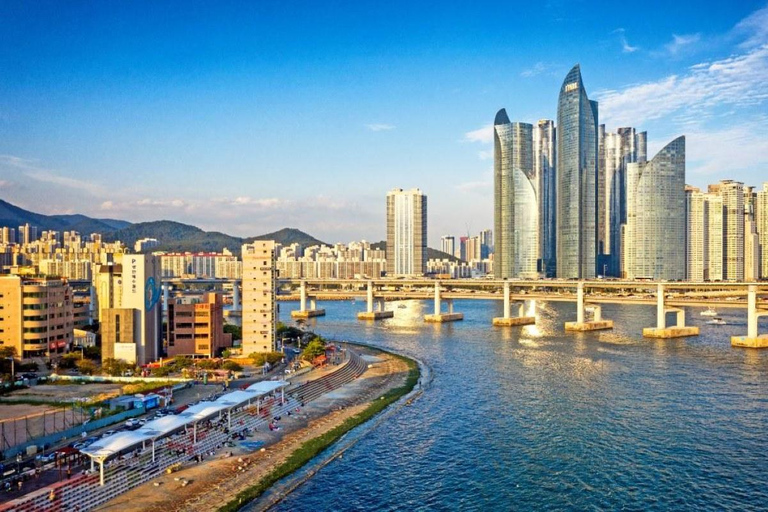 Busan: Customized Private Car Tour City Sights&Local Gems Pick-up anywhere in Busan
