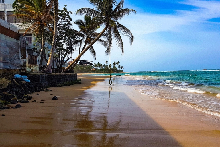 Vida salvaje de Sri Lanka, paisaje de colinas, playa de la costa sur