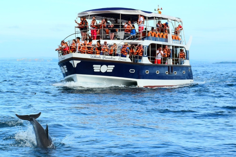 From Tangalle: Mirissa Whale Watching Tour with Breakfast