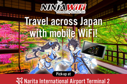 Tokyo, Japan: Mobile WiFi - pick up at Narita Airport T2