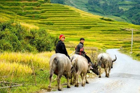 Hoàn Kiếm: 3-Day Sapa Trekking Tour with Meals and Homestay