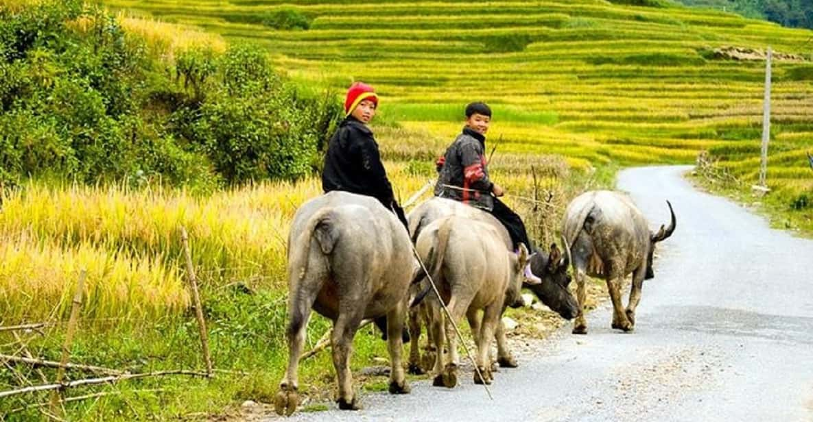 Von Hanoi Aus T Gige Sapa Trekkingreise Mit Mahlzeiten Und