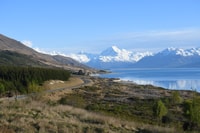 From Christchurch, Mt Cook Day Tour via Lake Tekapo w/ Lunch - Housity