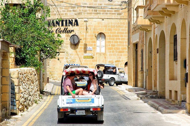 Malta: Privé Jeep Tour op Gozo met LunchMalta: privéjeeptour naar Gozo met lunch