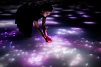 TeamLab Planets Tokyo, Digital Art Museum Toegangsticket - Housity