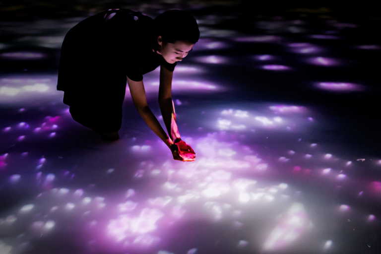 teamLab Planets TOKYO : billet musée d'art numérique