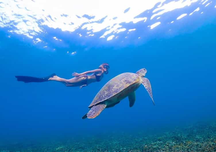 Koh Tao Islands Snorkeling Highlights Day Tour Lunch Getyourguide