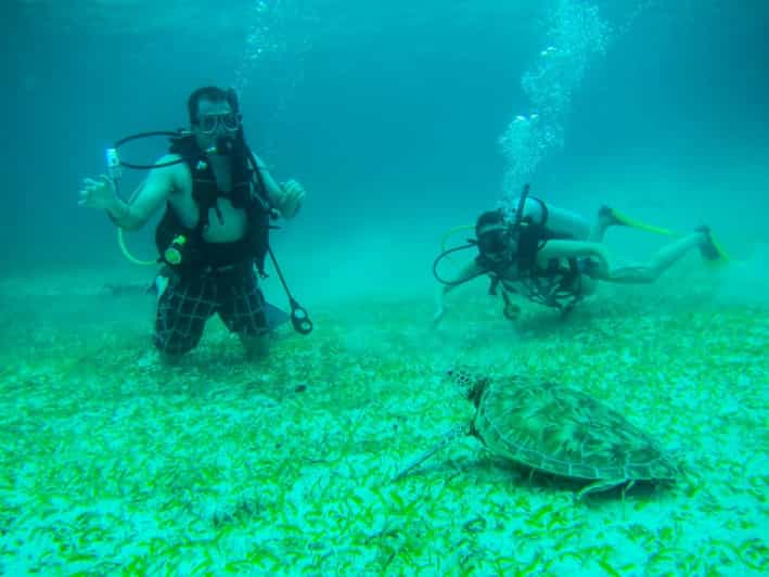 San Pedro Belize Barrier Reef 2Tank Scuba Diving Trip GetYourGuide