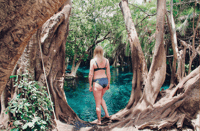 Desde Moshi, gira privada de día completo a Kikuletwa Hot Springs - Housity