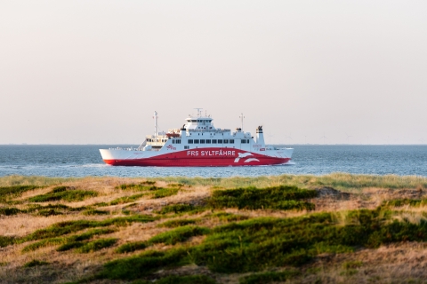 Depuis Rømø : ferry aller simple ou aller-retour pour SyltBillet de ferry aller simple de Rømø à Sylt