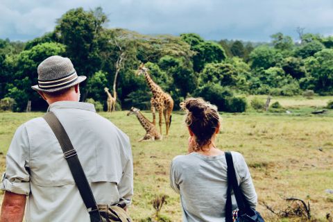 Day Trip to Arusha National Park with a Walking Safari