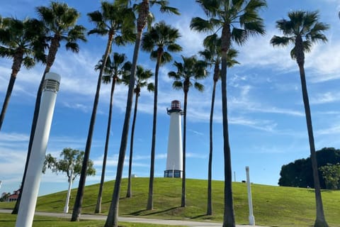 Long Beach: Waterfront and Downtown Walking Tour