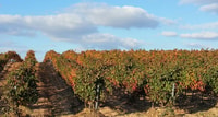 Rioja Wine Tour - Tour privée d'une journée de San Sebastian - Housity