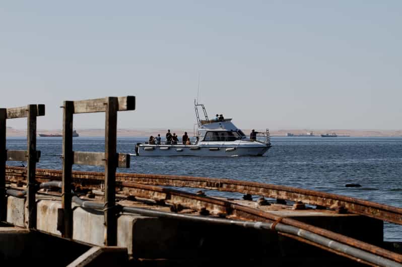 Walvis Bay Atlantic Namibian Coast Marine Dolphin Cruise GetYourGuide