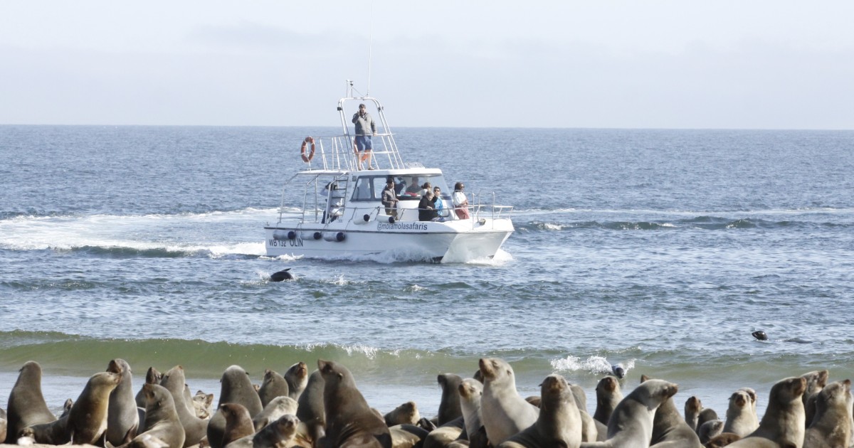 walvis bay boat trips