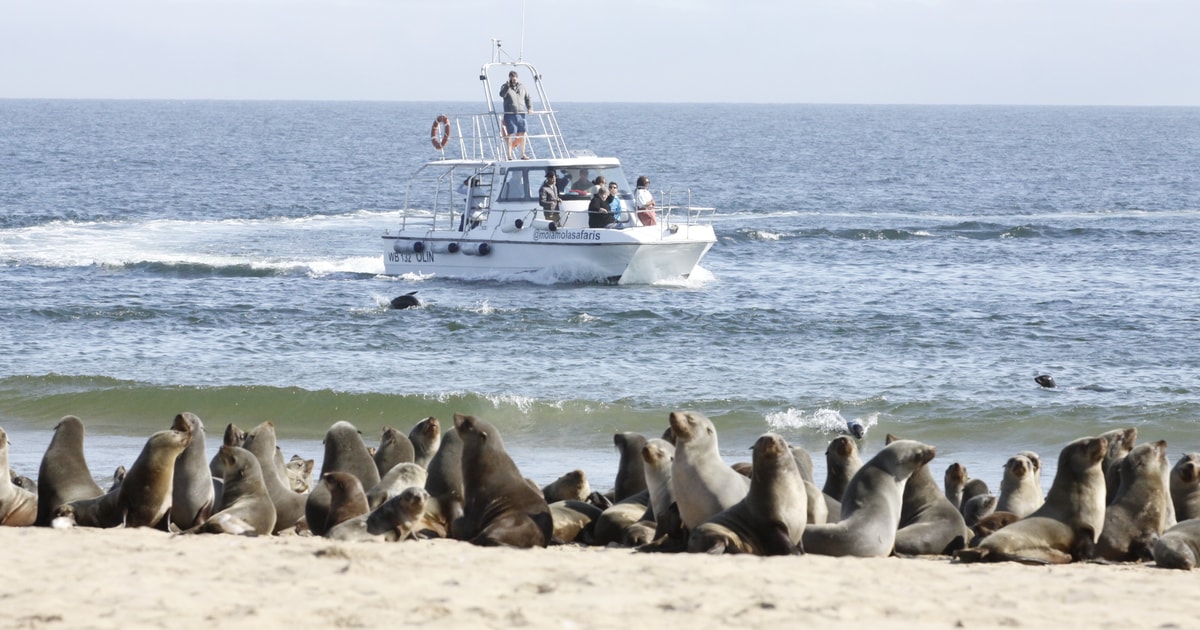 walvis bay boat trips