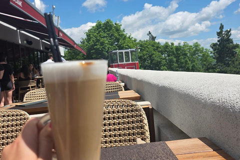 Easy Hike to Tampa Peak & Panoramic Coffee Break