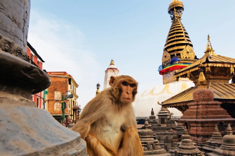Wycieczka krajoznawcza po Dolinie Katmandu