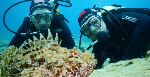 Agia Pelagia: Introduction to Scuba Diving Experience