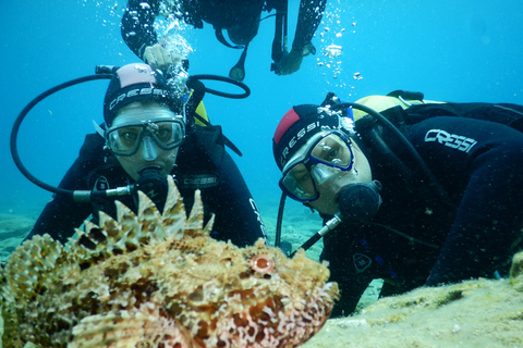Agia Pelagia : Initiation à la plongée sous-marine