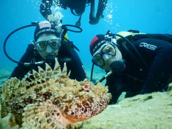 Agia Pelagia: Introduction to Scuba Diving Experience