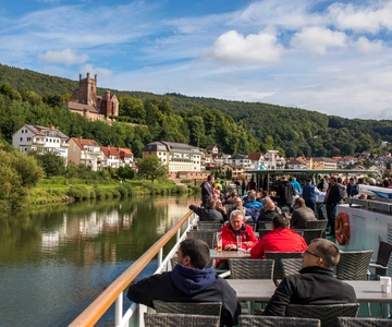 Heidelberg: Riverboat Tour to Neckarsteinach with Drinks