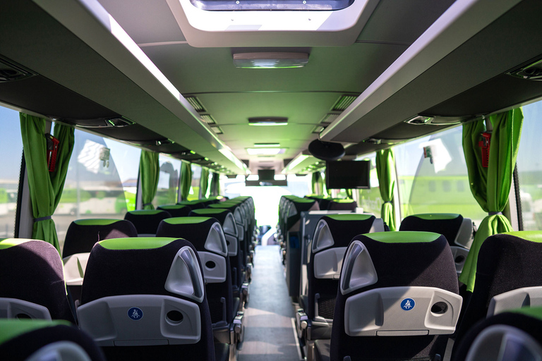 Florence: Shared Bus Transfer to/from Pisa Airport Single from Pisa Airport to Florence downtown