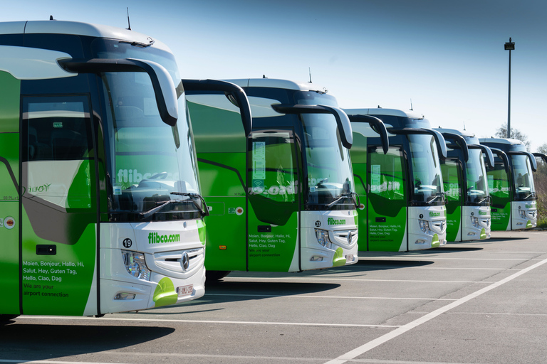 Florence: Shared Bus Transfer to/from Pisa AirportSingle from Florence downtown to Pisa Airport