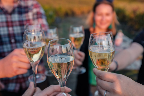 Degustação de Veuve Clicquot e tour privado divertido em Champagne