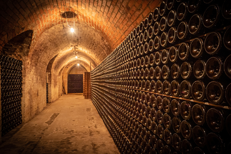 Degustação de Veuve Clicquot e tour privado divertido em Champagne