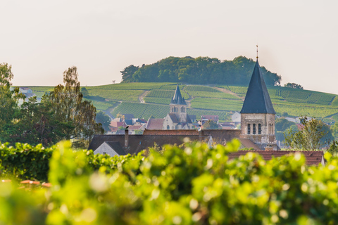 Prova de Ruinart e tour particular de diversão em Champagne