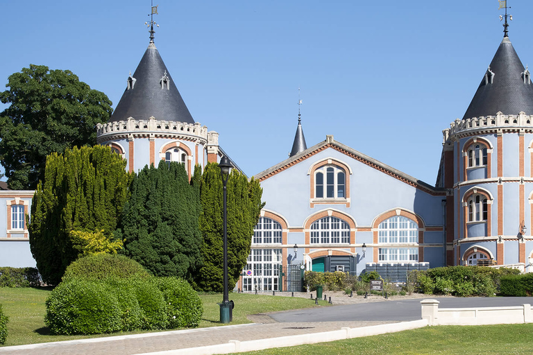 Tour de Pommery en grupo reducido de un día completoFácil Tour en grupo reducido por el Champán